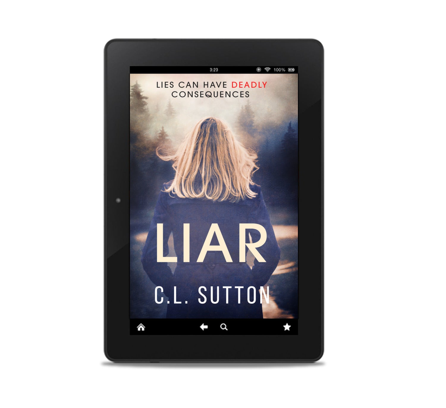 Liar Ebook