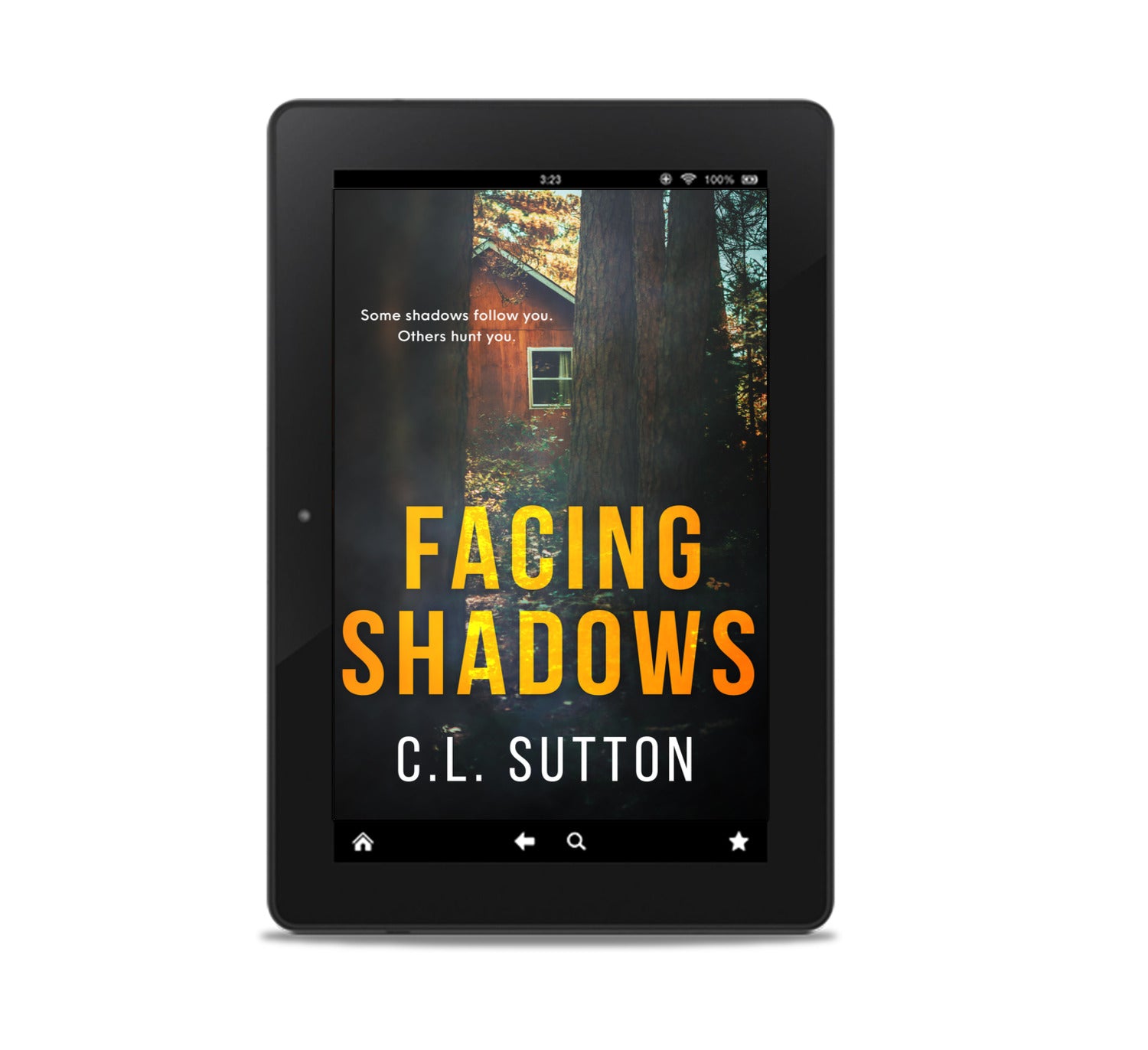 Facing Shadows Ebook
